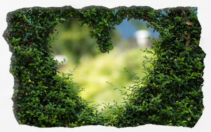 Das müssen Sie gesehen haben